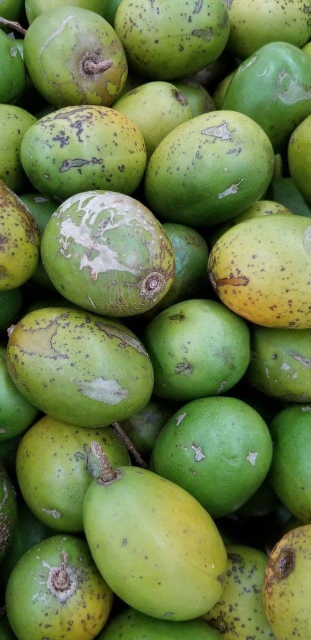 Tropical Fruit Export Checklist for Stable Shipments image 2