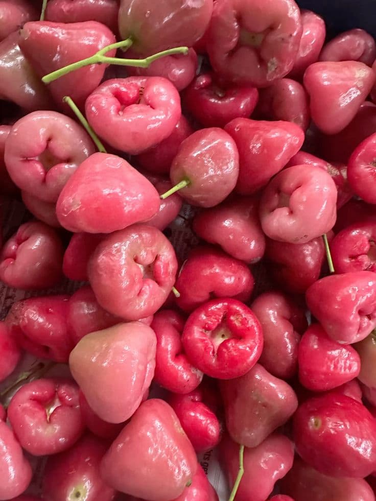 Tropical Fruit Export Checklist for Stable Shipments